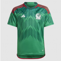 Replica Mexico Home Custom Jersey World Cup 2022 By Adidas