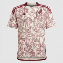 Replica Mexico Away Custom Jersey World Cup 2022 By Adidas